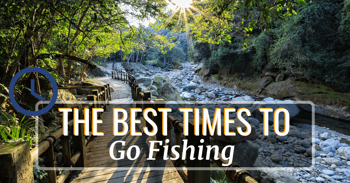 How To Choose The Best Time For Fishing Today