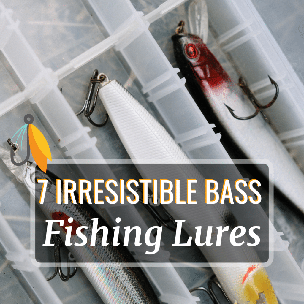 Tips & Guides Fishing Sensei