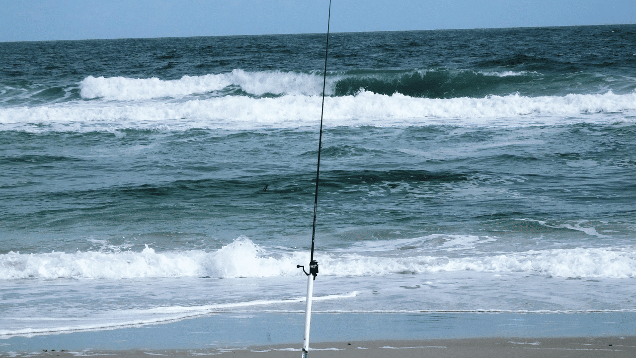 Best Surf Fishing Rods In 2022 Reviewed [Buying Guide]