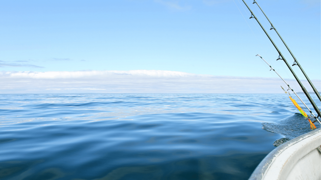 Best Saltwater Fishing Rods