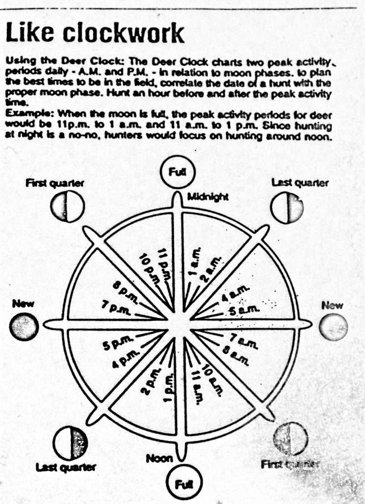 How To Choose The Best Time For Fishing Today