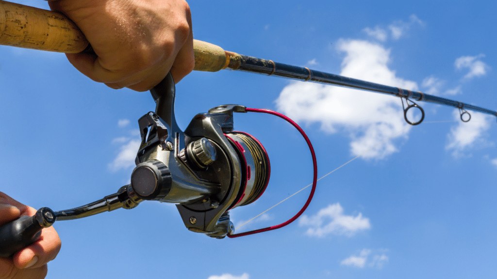 How To Cast A Spinning Reel